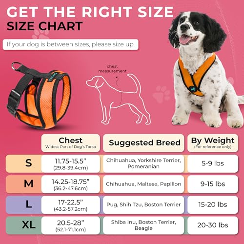Image of Gooby Orange X-Large Comfort X Head in Harness - No Pull, Choke-Free, Lightweight Mesh, Machine Washable for Small to Medium Dogs