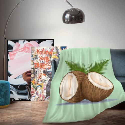 Shrahala Cobija de coco, cocos en rodajas con hojas, felpa suave, microfibra de forro polar de doble cara, cálida y ligera para sofá, cama, 60 x 40 pulgadas