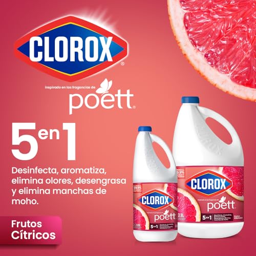 Reviews de Clorox , tabla con los diez mejores. 18 Imagen adicional