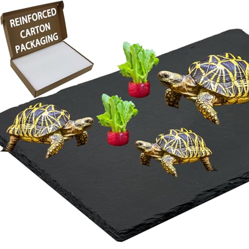 Extra Large 15.7 × 11.8" Reptile Basking Platform, Reptile Slate, Basking Rock, Slate Tiles Rocks for Reptiles,Terrarium Bowls for Bearded Dragon Tortoise Turtle Ball Python Snake Lizard Gecko