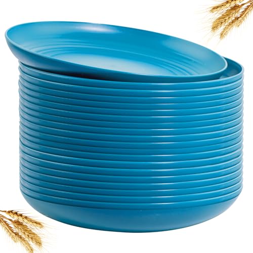 LIYH 20 Pcs Blue Wheat Straw Plastic Plates - 9 Inch Unbreakable Dinner Plates Reusable, Dishwasher & Microwave Safe, Camping Outdoor Plates