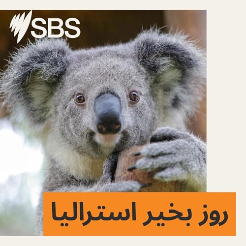 دریچه&zwnj;ای به استرالیا: ورزشی&zwnj;ترین کشور جهان