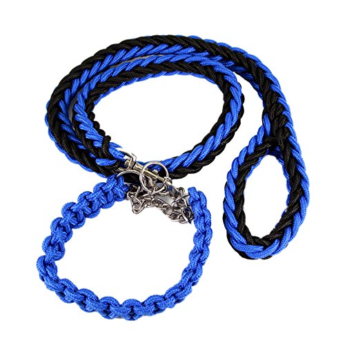 Petroad ColorPet Martingale Slip Lead Collar Bear Fruit Dog Leash for Medium and Large Dogs, Medium, Black Blue