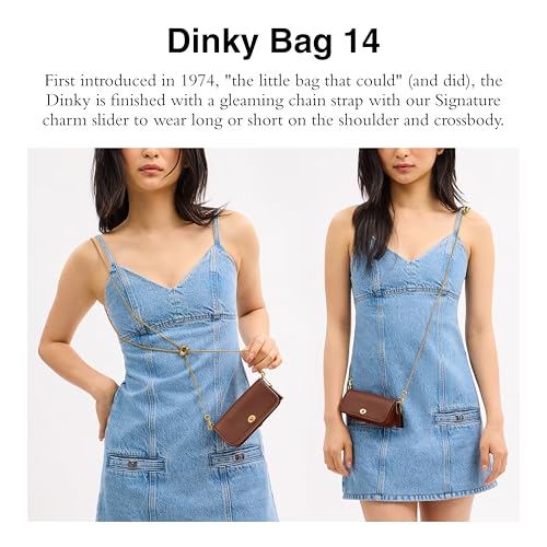 Coach for The Summer I Turned Pretty Dinky Bag 142