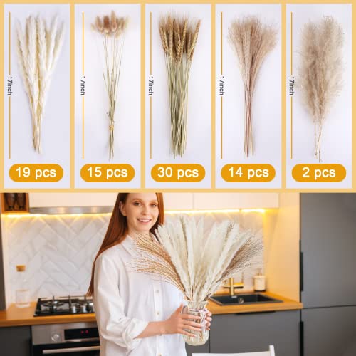 Natural Dried Pampas Grass Decor: 80 Pcs 17" Small Fluffy White Pampas Stems & Beige Reed Grass & Dry Wheat Bundle & Bunny Tail Grass Pampas Bouquet #TOP6