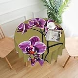Matériau : fabriquée à partir de polyester, notre belle nappe ronde imprimée orchidées est réutilisable, parfaite pour protéger et décorer votre table de salle à manger. Il apporte une touche joyeuse et vibrante à votre espace.