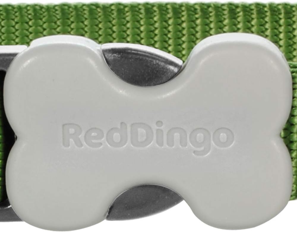 Red Dingo Classic Dog Collar, Small, Green