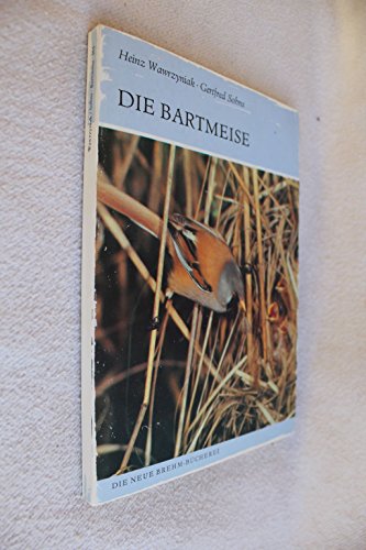 Die Bartmeise. Panurus biarmicus
