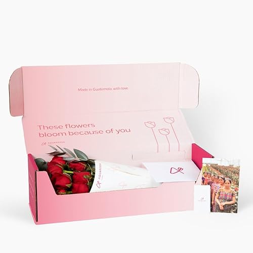 Miniatura 3 de Aquarossa Farms Flores para entrega, ramo de flores frescas, seleccionadas a mano de la granja, regalo para cumpleaños, aniversario o simplemente