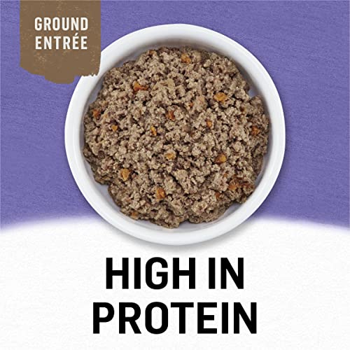 Purina Beyond Turkey And Sweet Potato Grain Free Wet Dog Food Ground Entree - (12) 13 Oz. Cans #TOP1