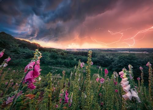 Ravensburger Puzzle 12000793 - A Storm is Coming - Puzzle de 1000 pièces pour Adultes et Enfants à partir de 14 Ans,
