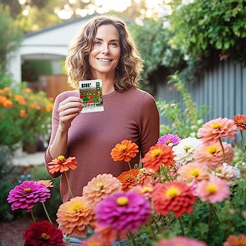 250 California Giants Zinnia Seeds For Planting - Heirloom Non-Gmo Usa Grown Premium Flower Seeds - Mix Of Red, Orange, Yellow, White, Pink, And Purple Flowers - Attracts Butterflies By Rdr Seeds #TOP3
