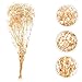 RORPOIR Dried Babysbreath Flower Bouquets Realistic Dried Flowers for Wedding Decor Home Decoration and Party Arrangements Versatile Floral Bundles for All Year Use