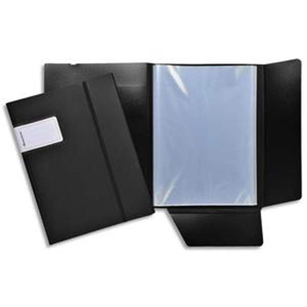 Lot de 12 Protège documents 60 vues, 30 pochettes EXACTIVE, PP 6/10e fermeture par élastique vertical. Coloris assortis