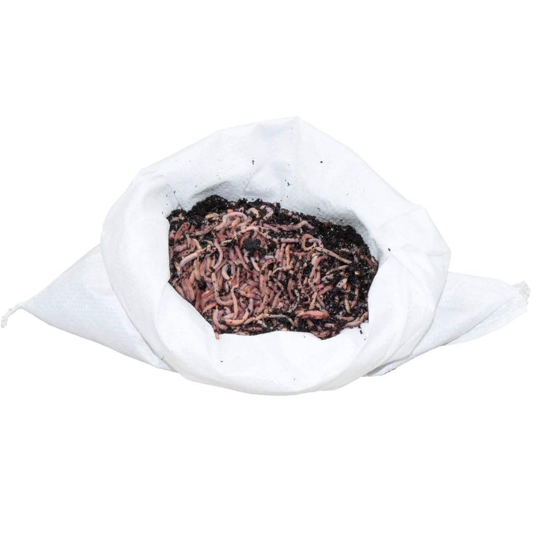 0,5 kg Gartenwürmer - für 50 m² Fläche - Bodenverbesserer - Die einfachste und natürlichste Methode Ihren Gartenboden auf zu lockern und zu durchlüften - Lehmboden auflockern