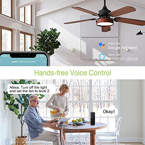 The 30 Best Ceiling Fan Wall Controls of 2024 [Verified] Cherry Picks