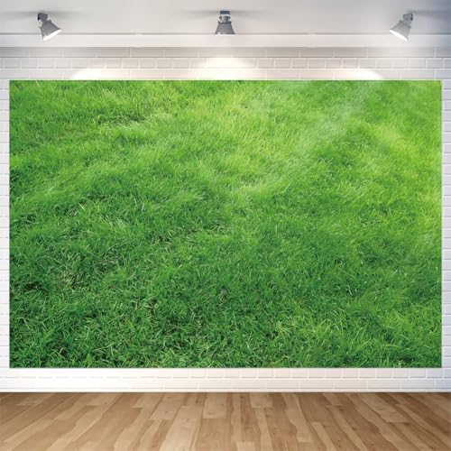 Green Grass Backdrop Wall Banner Grass Photography Background for Home Outdoor Birthday Party Baby Shower Decoration Supplies 70.8 x 47.2 Inch by DuftGu - Used condition - US$8.41