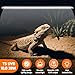 ZeahVeyora 4 Pack T5 UVB Reptile Light 34 Inch 39W 10.0 T5 UVB Reptile Light Bulb UVA Fluorescent Bulb for Desert Lizards Leopard Gecko Bearded Dragon Tortoise Reptiles Amphibian Replacement Lamp Tube