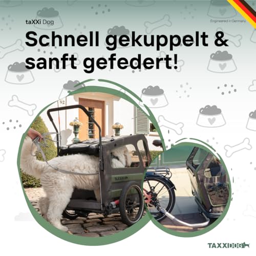 TAXXI Dog M Hundeanhänger für Fahrrad – Stabiler Fahrradanhänger für Hunde bis 40 kg – mit Einstieg vorn & hinten, Netzfenster, Reflektoren, Kupplung – faltbar & wetterfest