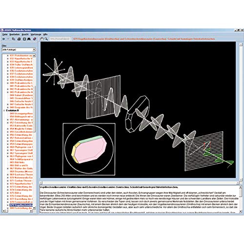 Image of 3B Scientific GmbH W13541 The Structure of Matter I