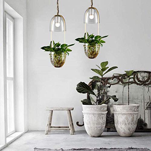 Lustre chambre et balcon moderne rustique avec plante verte et métal bronze