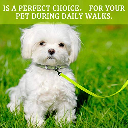 Doyoo 2 Pack Puppy Dog Leash Cat Leash, Strong And Durable Leash With Easy To Use Collar Hook - Dog Leashes For Cat With Collapsible Pet Bowl Great For Small And Medium Dog (Set 3-Black+Green) #TOP5