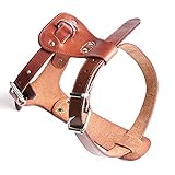 PESHOUCO Leather Dog Harness No Pull Design Genuine Leather Durable Strong Pet Harness with Adjustable Straps Easy Control Pet Vest (M)