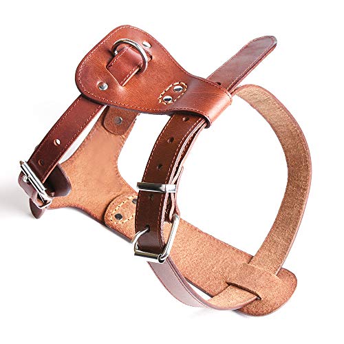 PESHOUCO Leather Dog Harness No Pull Design Genuine Leather Durable Strong Pet Harness with Adjustable Straps Easy Control Pet Vest (M)