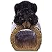 Design Toscano Black Bear Gutter Guardian Downspout Statue