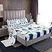 Erosebridal Nautical Bed Sheets Set for Kids Boys Girls,Blue White Ocean Sheet Set Queen,Hawaii Surfboard Sheets,Rustic Lake House Paddle Flat Fitted Sheet with 2 Pillowcases Camper Gift