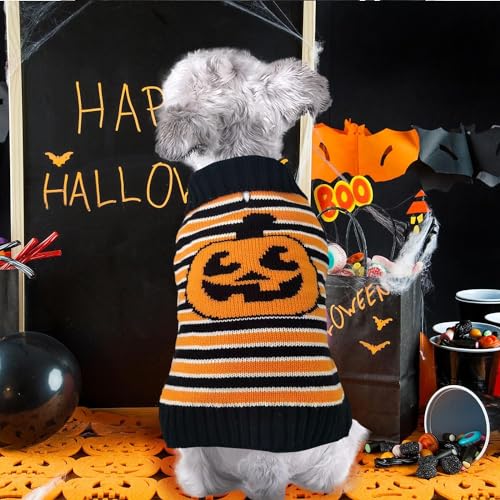 Pull d'Halloween pour chien et chat - Idéal pour la promenade du soir avec passage laisse
