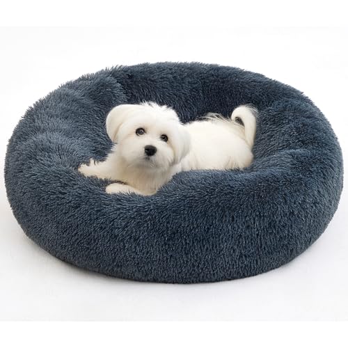 Pisi Bili Hundebett Katzenbett Waschbar flauschig orthopädische Hundebetten große und kleine Hunde Katzenschlafplatz für Katzen Donut - Dunkelgrau 60 cm