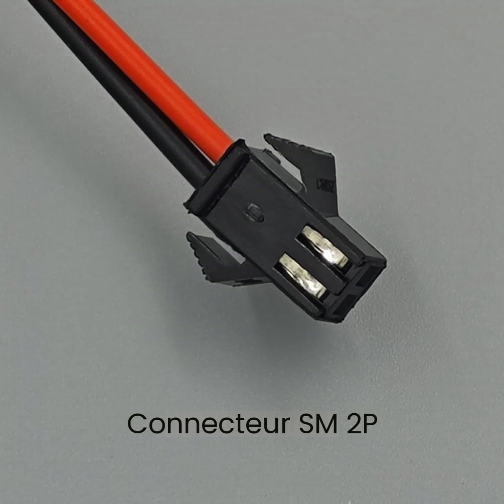 Batterie NiMH 4,8 V 2400 mAh, 2 batteries de secours RC avec fiche SM, convient pour les jouets de télécommande tels que les voitures télécommandées, les véhicules d'ingénierie télécommandés,