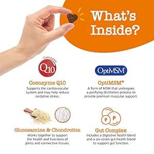 Zesty Paws Multivitamin Treats for Dogs – Glucosamine Chondroitin for Joint Support + Digestive Enzymes & Probiotics – Grain Free Vitamin for Skin & Coat + Immune Health – Peanut Butter Flavor – 90ct