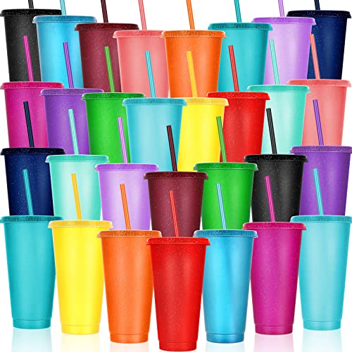 Image of Honeydak 30pcs 24 oz Tumbler with Straw and Lid Gifts Bulk Reusable Plastic Cups Bulk Coffee Cups with Lids Gifts Water Bottle Iced Coffee Travel Mug for Parties Birthdays
