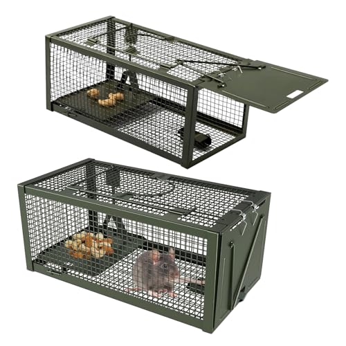 Lebendfalle Mausefalle Premium Profi Lebendfalle XL: Humane Maus- & Rattenfalle aus Kaltgezogenem Stahldraht Für Kleine Nagetiere (Mäuse Wühlmäuse Feldmäuse) (Green)