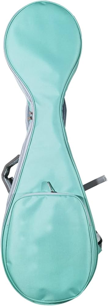 Amazon | 中国伝統の琵琶ケース、厚めの琵琶バッグ便利な楽器収納袋