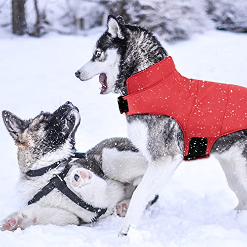 CITÉTOILE Warme Hundemantel Winter, Hundemantel mit Bauchschutz, Wintermantel für Hunde mit Reflektierend, Wendbarer Hundejacke Hundekleidung mit Geschirrloch, Rot, S