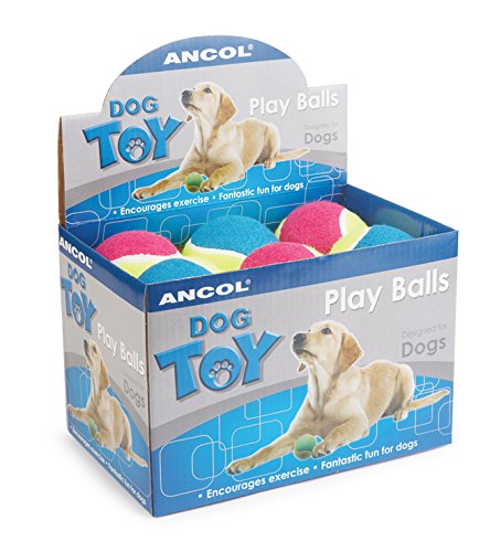 Mega Tennis Balls Assorted 10cm Display Box (Pack of 12)