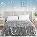 WONGS BEDDING Kühldecke Sommerdecke - mit Japanische Arc-Chill Q-Max 0,43 Kühlfasern, 2 in 1 Selbstkühlende Decke für Menschen zum Reisen Sofa Büro Betten Hause, Grau 150x200 cm