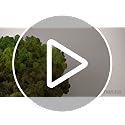 prefleur 5 kleuren mix pack geconserveerd rendier mos natuurlijke groene DIY kit tuinieren kunst muur decor bloemist decor (1 lbs) (groen-01 groen-02 groen-03 groen-04 groen-12
