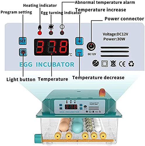 Automatische ei-incubator, 16 eieren geleid hoog-efficiëntie Automatische ei draaien en temperatuurregeling… - Afbeelding 3