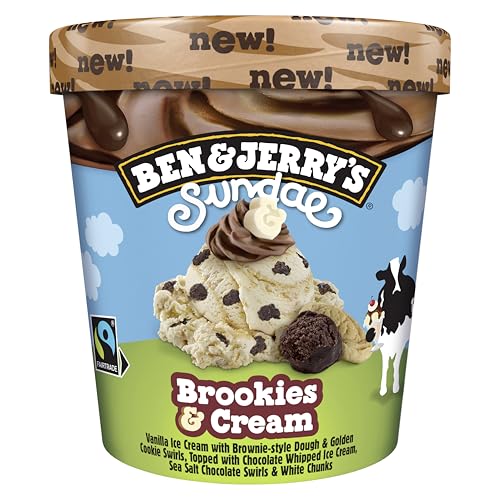 Ben & Jerry's Sundae Brookies & Cream Ice Cream Tub 427 ML