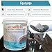 Castable Refractory Cement for Forge - Furnace Cement High Temperature - 2822F Rated - 12.5 LBS - 45% Alumina Fireplace Cement Refractory for Casting Purpose Like Fire Bricks, Pizza Oven, Stove etc...