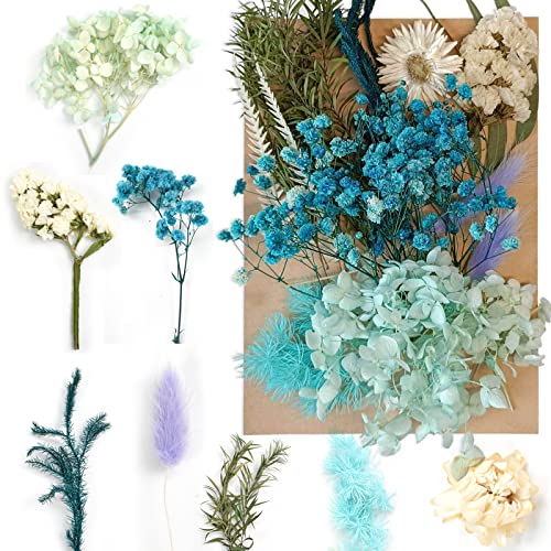 Flores Secas Naturales Flores Secas para Manualidades Flores Naturales Mixtas DIY Flores Prensadas Secas para Artes DIY Resina Artesanía Scrapbooking Decoración Tarjetas Boda Álbum Cover