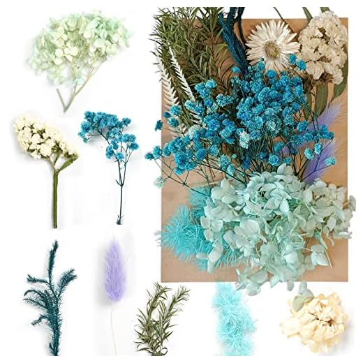 Flores Secas Naturales Flores Secas para Manualidades Flores Naturales Mixtas DIY Flores Prensadas Secas para Artes DIY Resina Artesanía Scrapbooking Decoración Tarjetas Boda Álbum