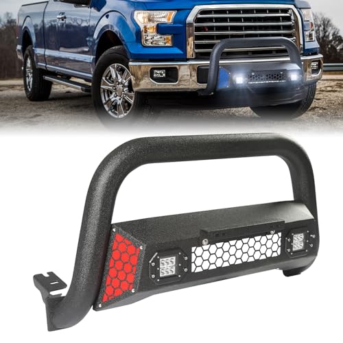 PARTREE Ford F-150 Bull Bar