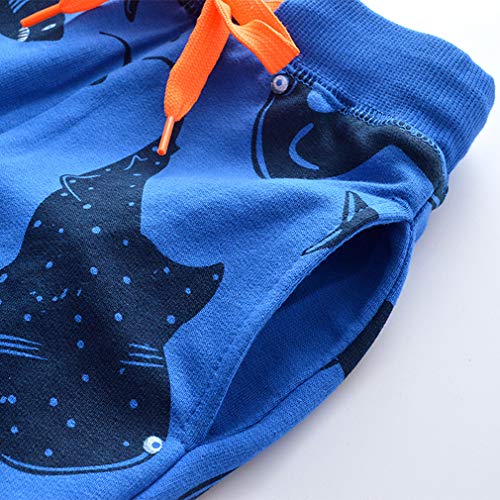 Image of Little Boys Jogger Pants Toddler Boys' Drawstring Elastic Waist Cotton Casual Sweatpants 1PC / 2 PCS Set
