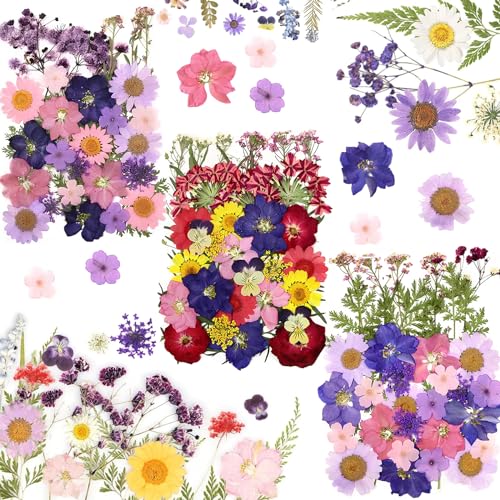 125 Stück Getrocknete Blumen Natürliche Gepresste Blumen DIY Getrocknete Blüten Gemischte Getrocknete Blätter Gänseblümchen für DIY Kerzen Harz Schmuck Nagel Anhänger Kunst Blumen Dekoration
