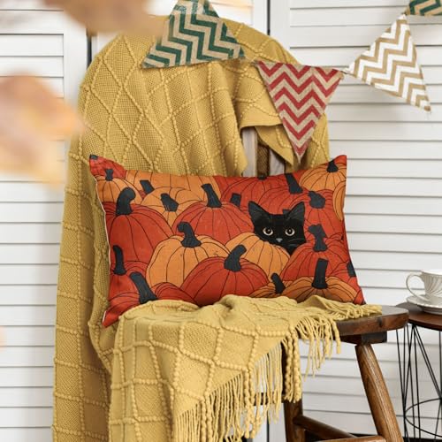 Artoid Mode Pumpkins Cat Autumn Cushion Cover, 30x50 cm Fall Decorative Pillow Case Cover Sofa Living Room Outdoor Decor - Cosy Home Interiors Artoid Mode Pumpkins Cat Autumn Cushion Cover, 30x50 cm Fall Decorative Pillow Case Cover Sofa Living Room Outdoor Decor - Image 3